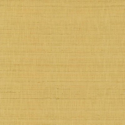 Kasmir WITH A VIEW      CAMEL           